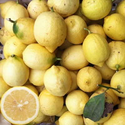 安岳黄柠檬新鲜水果三级丑果净重9斤瑕疵果次果批发一件代发