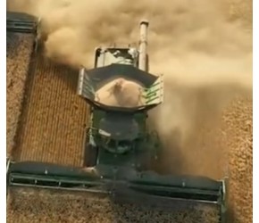 现代农业之——小麦的栽培、收获与加工