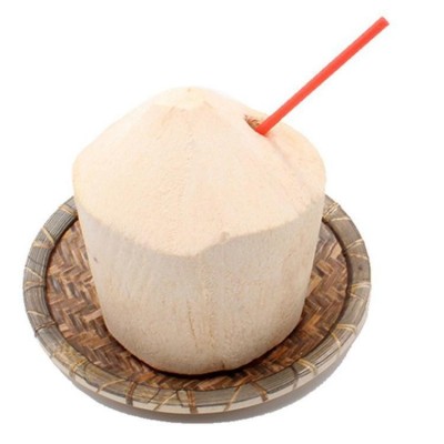 包邮文昌工厂直供海南椰子热带椰青9.6.4个装青椰甘甜爽口优选种
